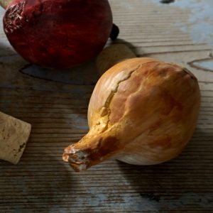 Pottery Vegetable - Shallot Bottlestopper