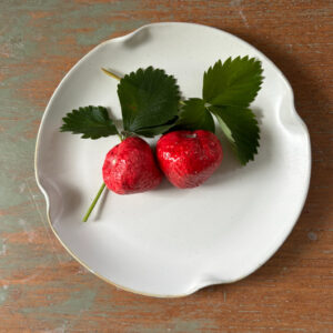 c - Pottery Study of 2 Strawberries
